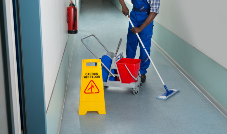 Cleaning and Maintenance Services
